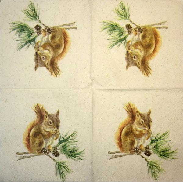 020 Eichhörnchen - 3-lagig - Ambiente